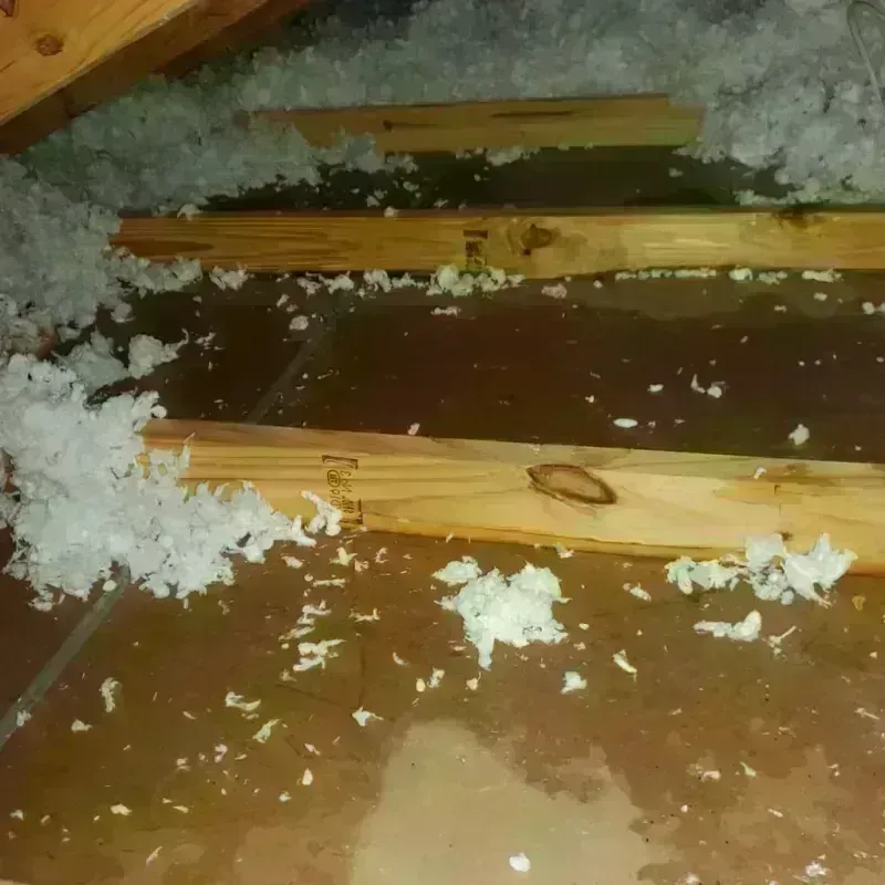 Attic Water Damage in Clear Lake Shores, TX