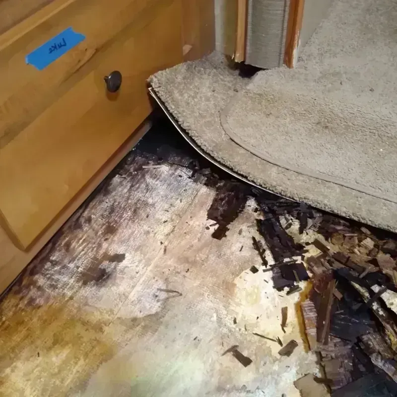 Wood Floor Water Damage in Clear Lake Shores, TX